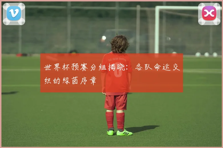 世界杯预赛分组揭晓：各队命运交织的绿茵序章