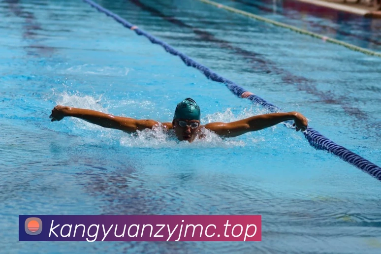 App Interface Preview