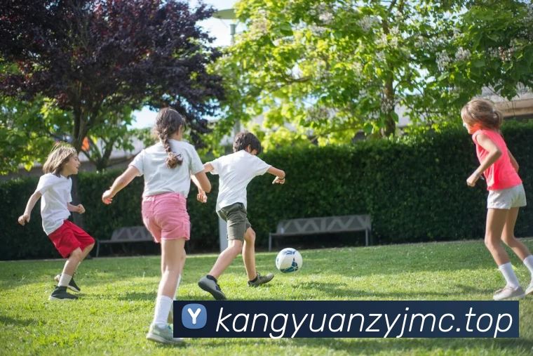 milan米兰官网APP 封面图