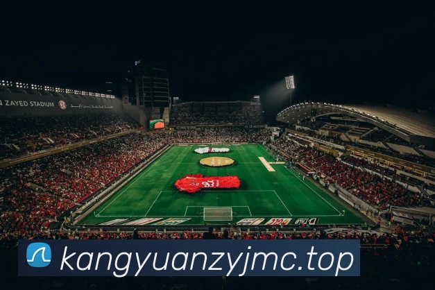 奖项证书